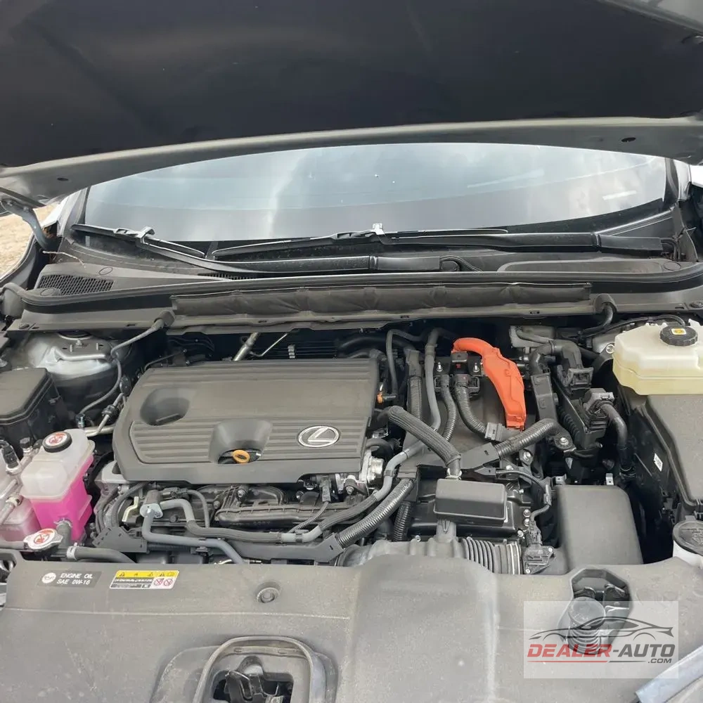 2024 Lexus RX 350h Premium+