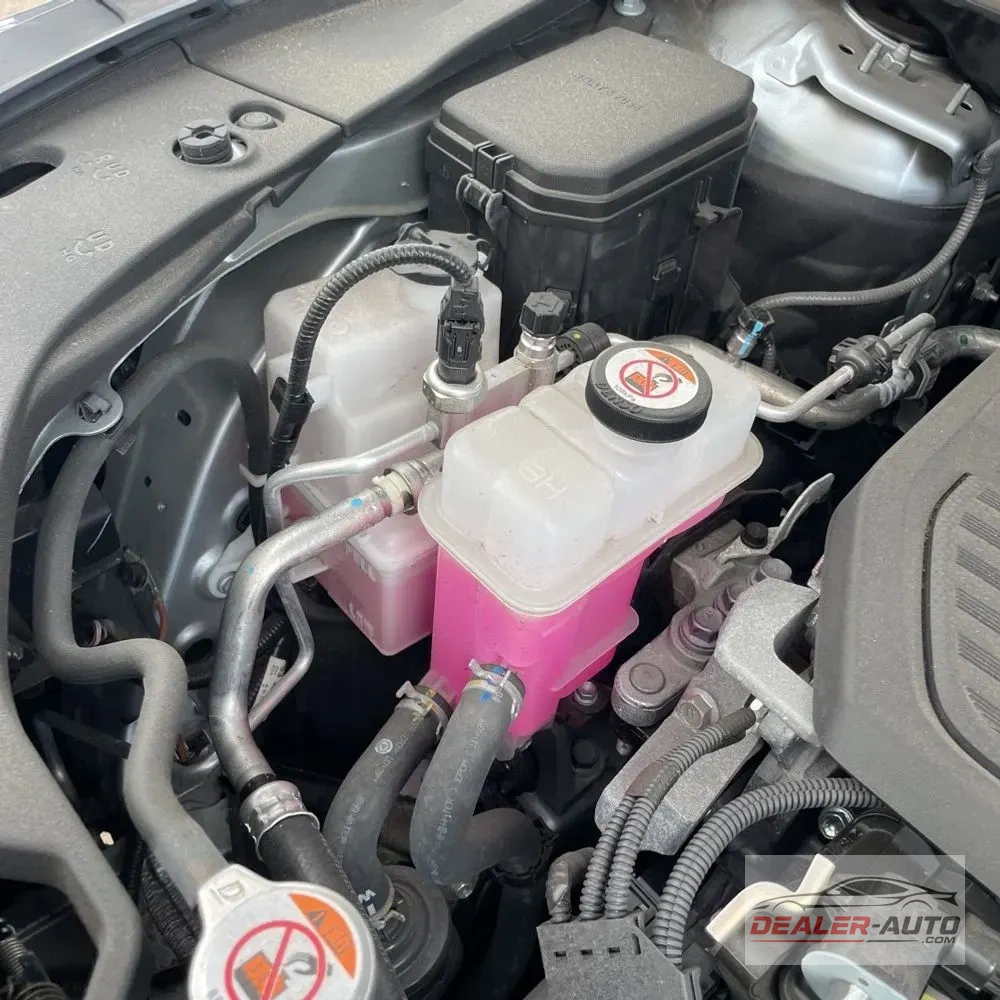 2024 Lexus RX 350h Premium+