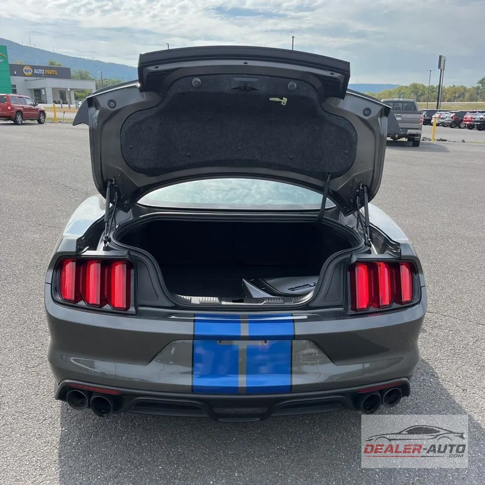 2017 Ford Mustang Shelby GT350