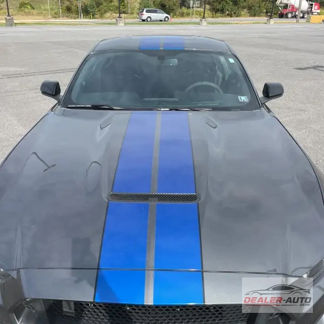 2017 Ford Mustang Shelby GT350