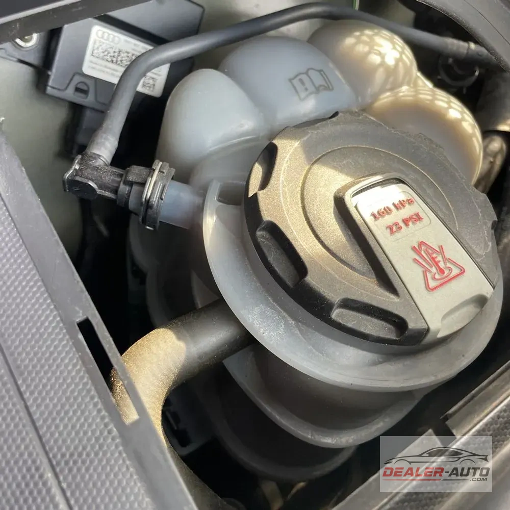 2024 Audi S5 Premium Plus