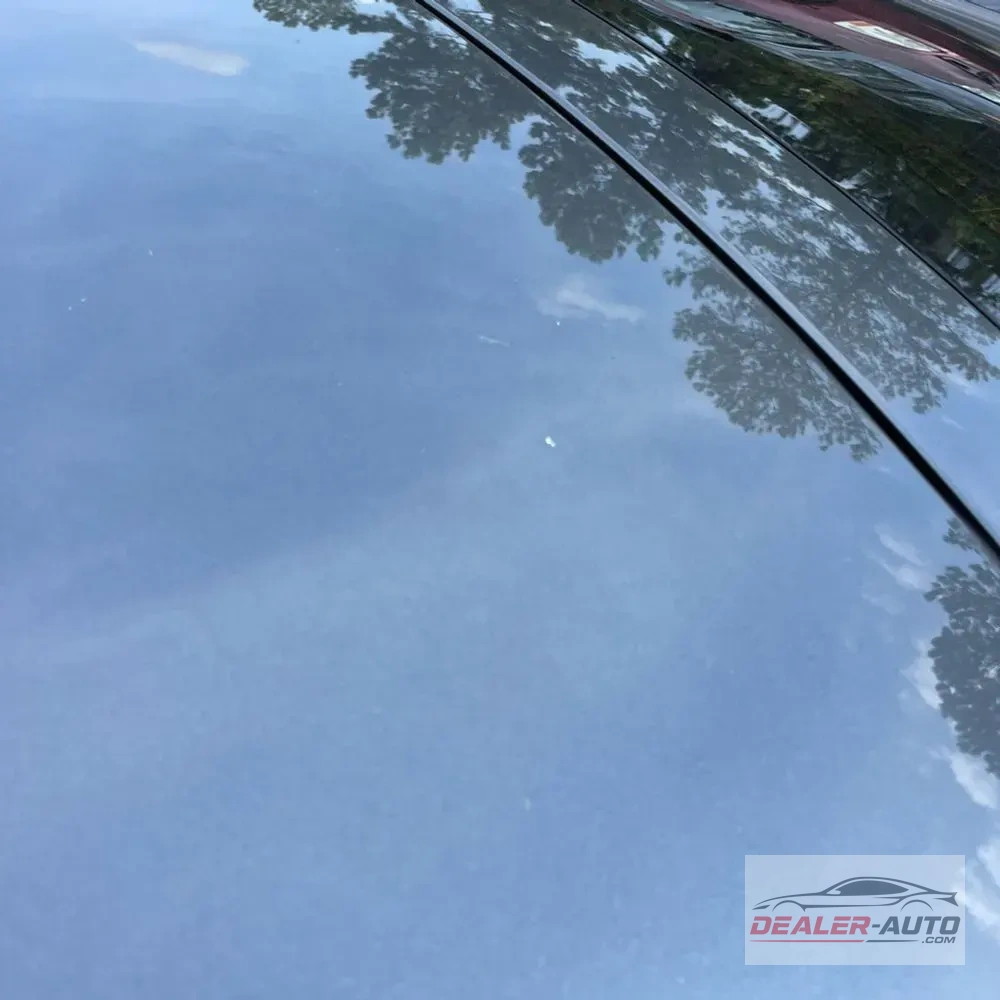 2024 Audi S5 Premium Plus