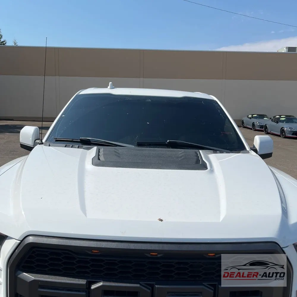 2019 Ford F-150 Raptor