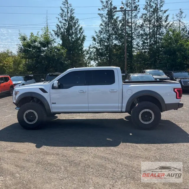 2019 Ford F-150 Raptor