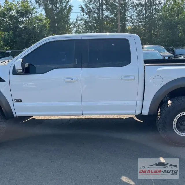 2019 Ford F-150 Raptor