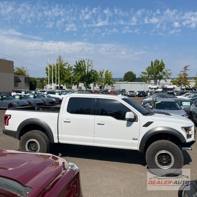 2019 Ford F-150 Raptor