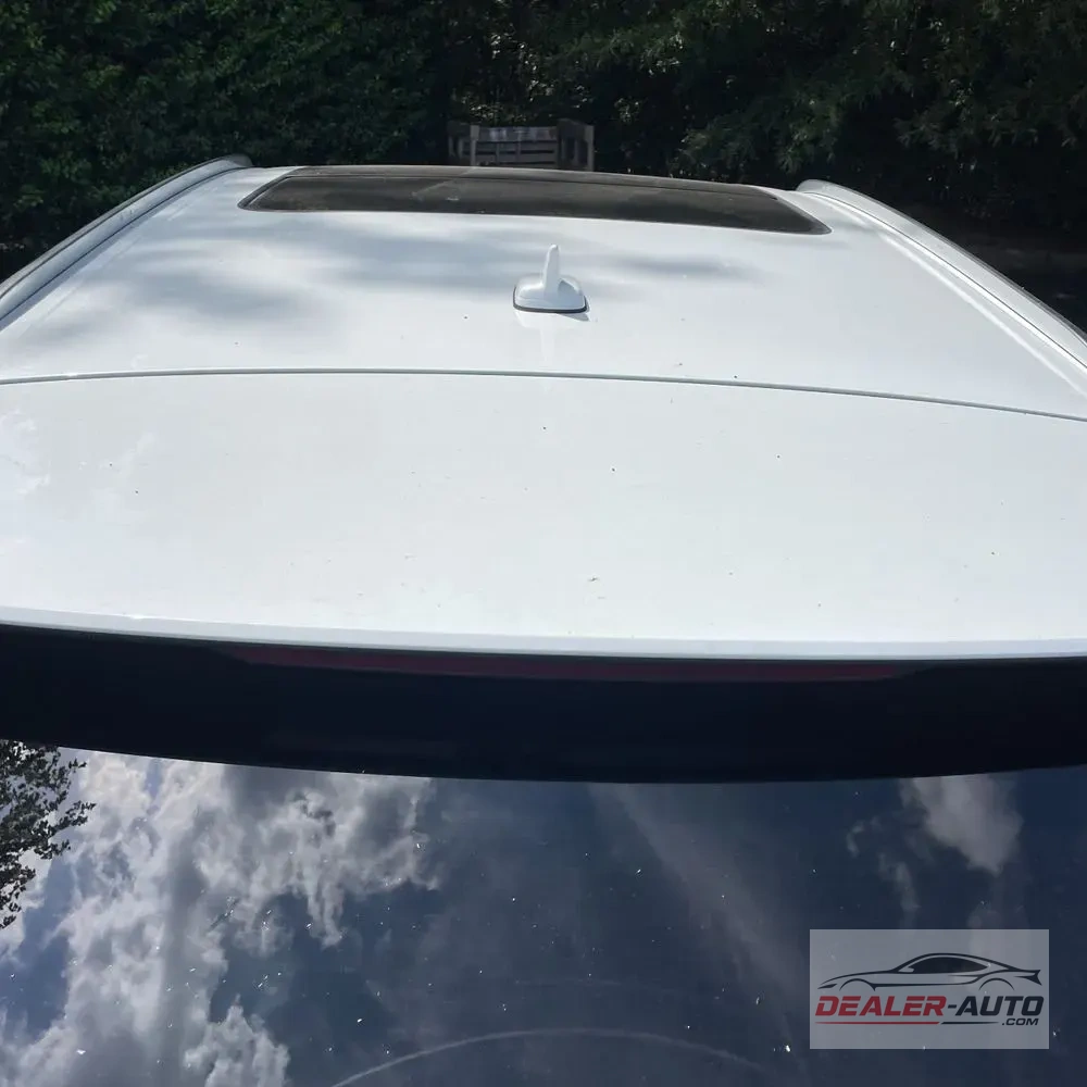 2023 Audi Q8 Premium Plus 55 TFSI