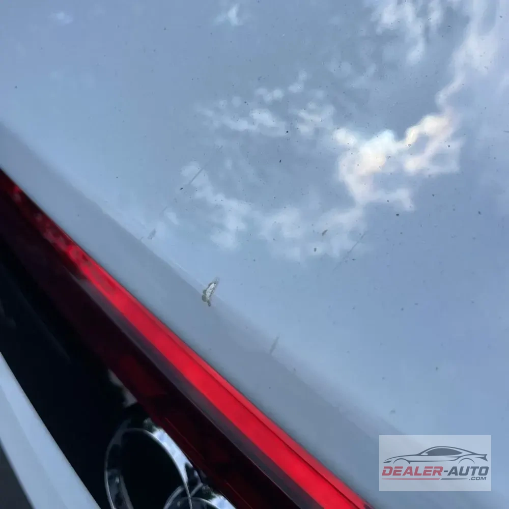 2023 Audi Q8 Premium Plus 55 TFSI